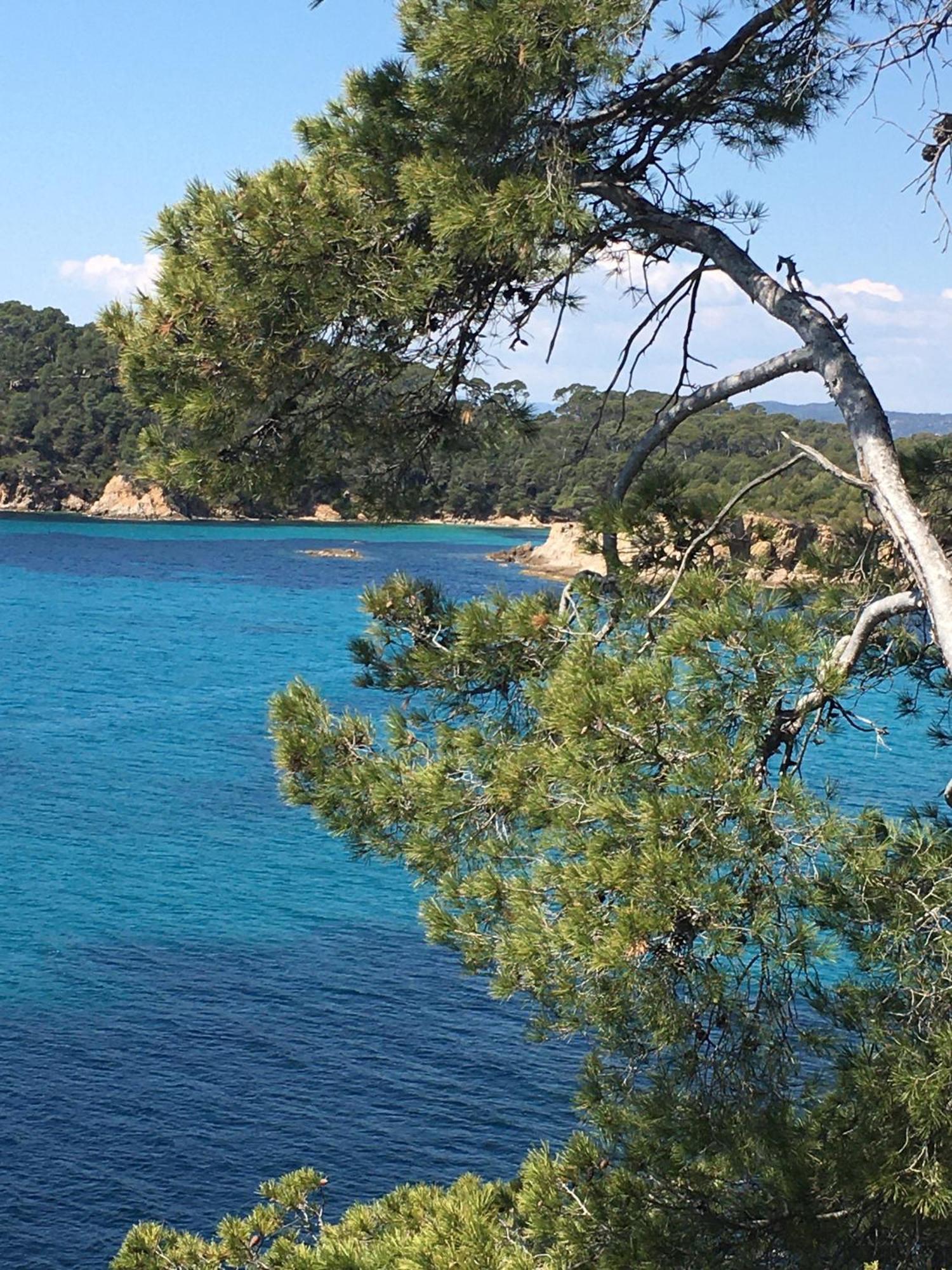 Appartement T3 Lumineux Traversant Totalement Neuf En Face De La Plage Front De Mer Vue Sur Les Iles Vue Mer Panoramique Assuree Residence De La Plage Centre Ville Du Lavandou 3Eme Etage Avec Ascenseur Appartement T3 Le Lavandou Zewnętrze zdjęcie